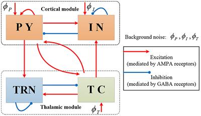 Computational Evidence for a Competitive Thalamocortical Model of Spikes and Spindle Activity in Rolandic Epilepsy